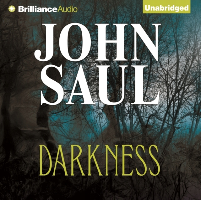 Darkness - Saul, John AUDIOBOOK