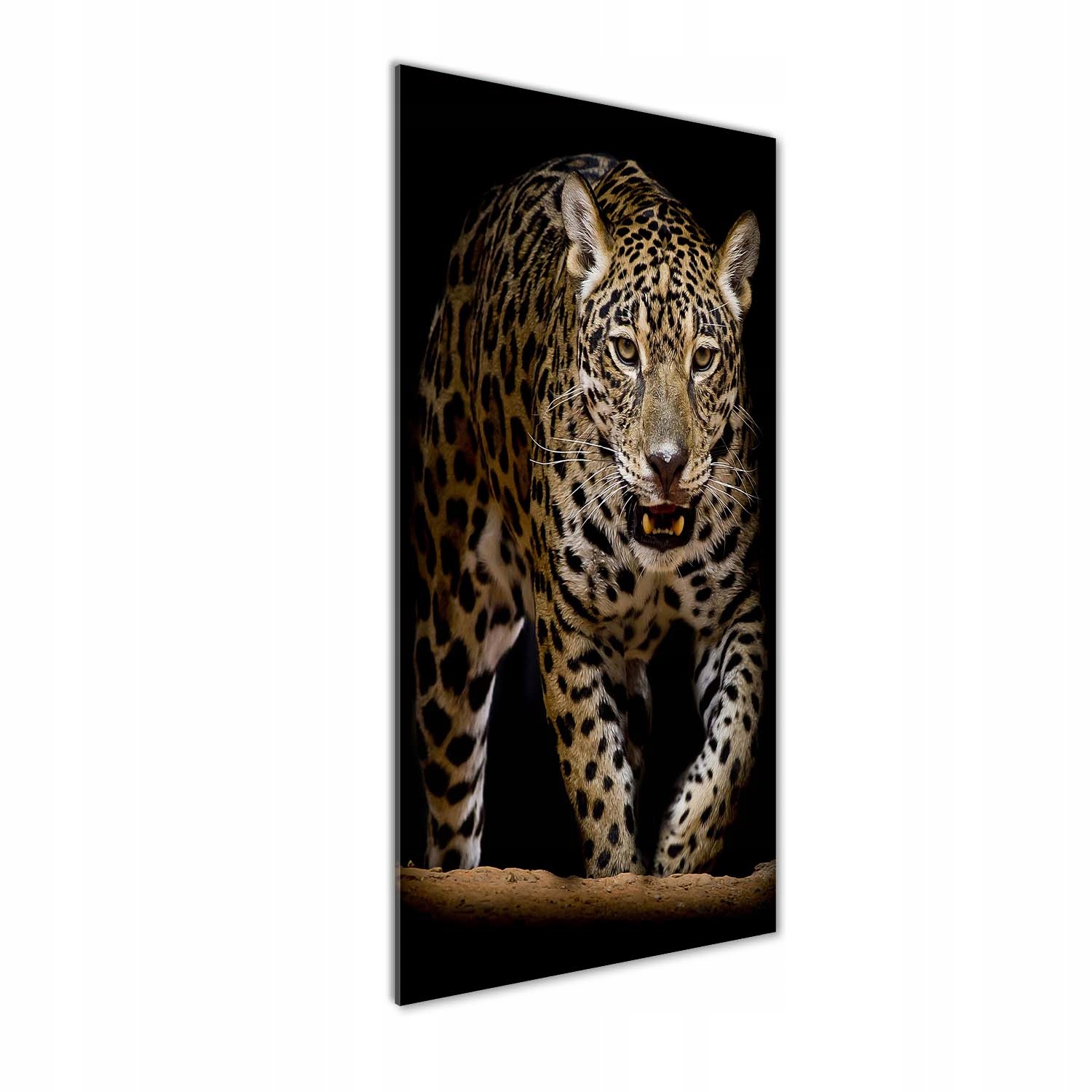 

Nowoczesny szklany obraz ze zdjęcia Jaguar 50x125