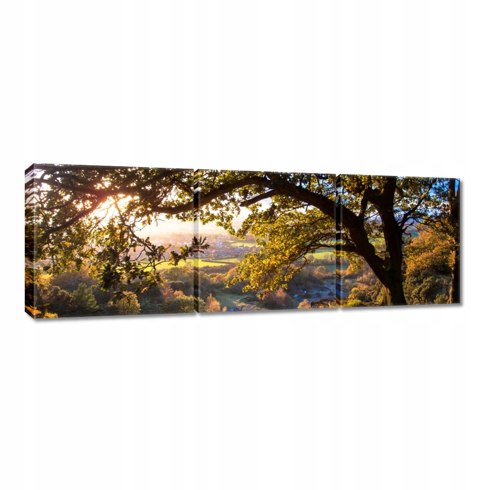 

Obrazy 120x40 Widok na dolinę