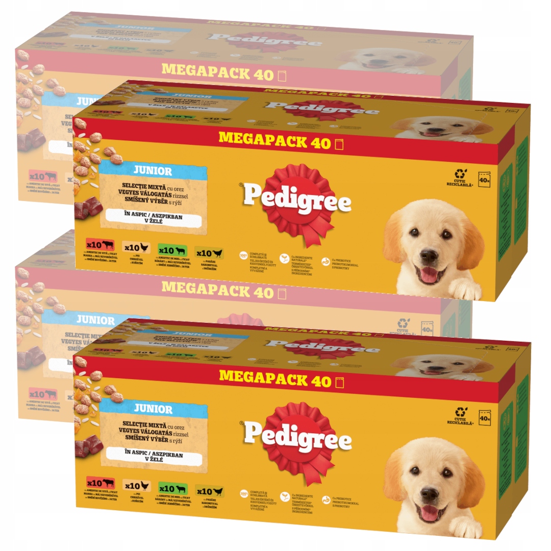 Pedigree Junior Wybór Smaków 160x100g Mokra Karma Dla Szczeniąt W Galaretce