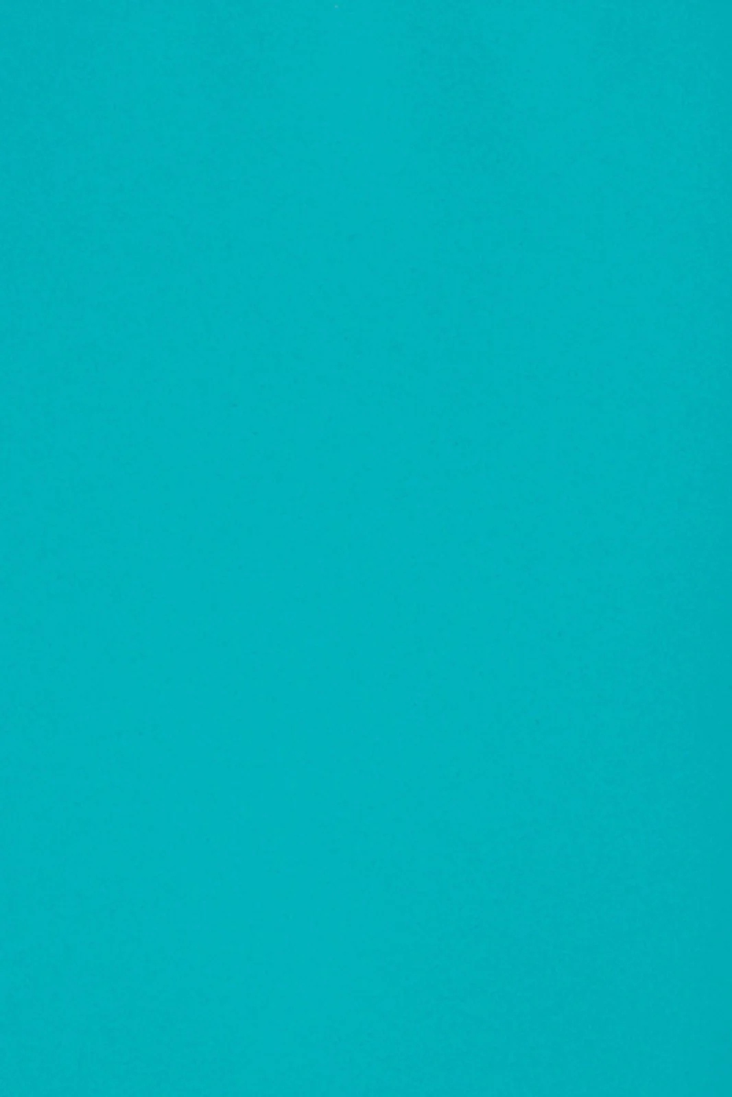 

Papier brystol kolorowy 250g niebieski 10A3