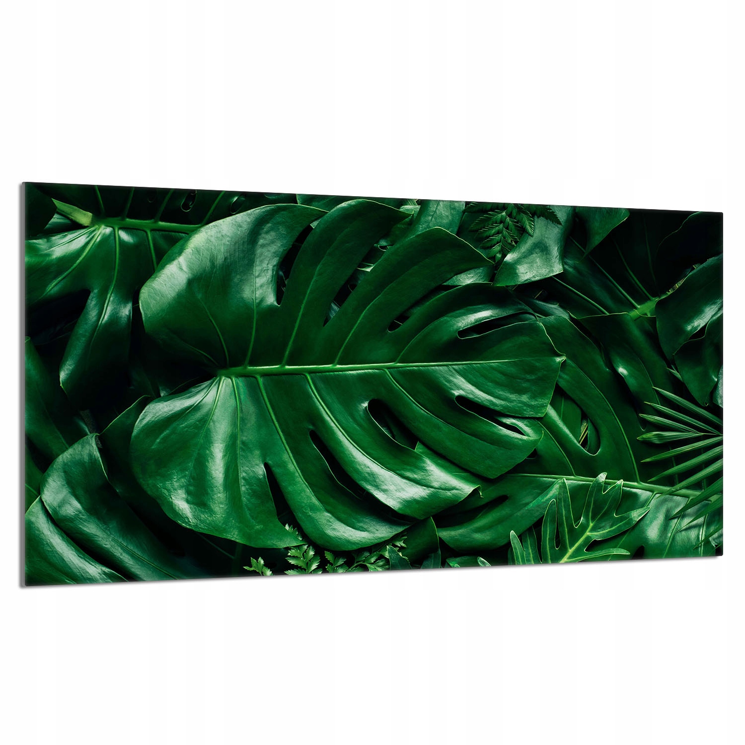 Skleněná ochranná deska na sporák 90x52 Monstera Do Kuchyně