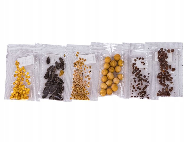 SZKLARNIA DLA DZIECI MINI OGRÓD OGRÓDEK + AKCESORIA Bohater / Bajka brak