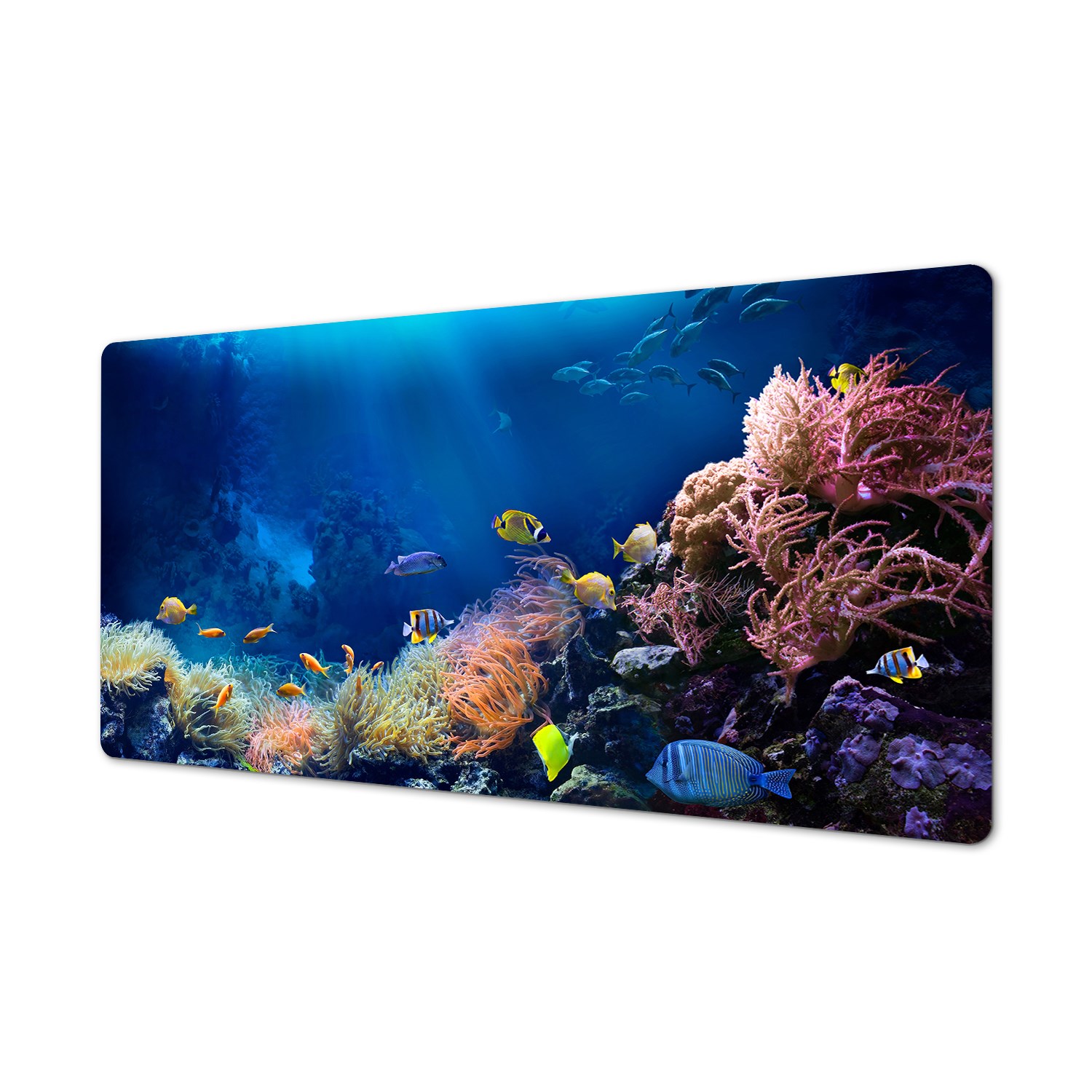 Do domu mata na biurko winyl Głębiny ocean ryby