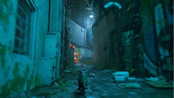 STRAY PL PS5 NOWA EAN (GTIN) 811949035196