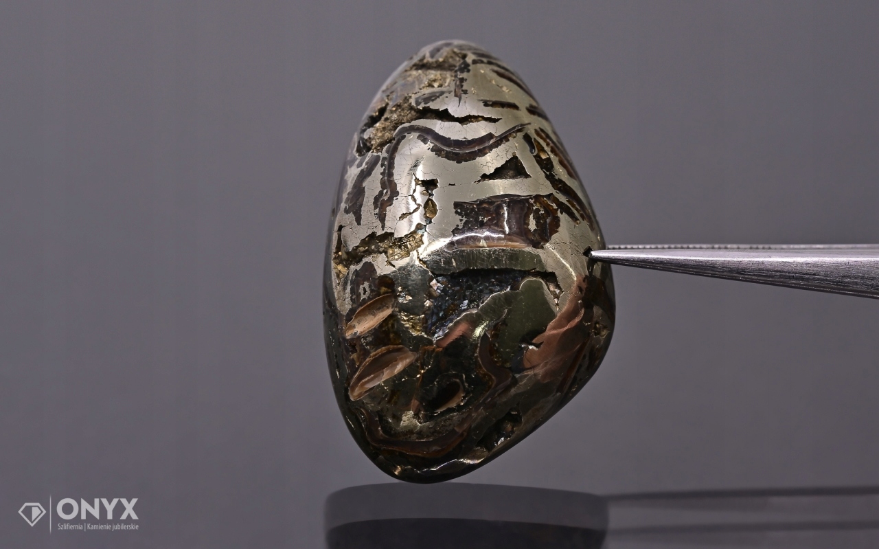 Amonit spiritizovaný nepravidelný 37x24 mm