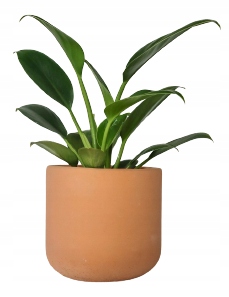 

Doniczka betonowa 17cm peach