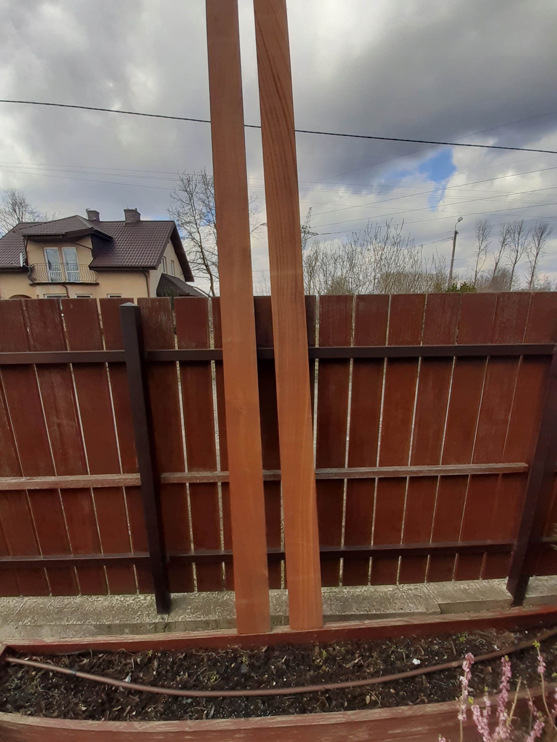 TARCICA MAHOŃ JATOBA C