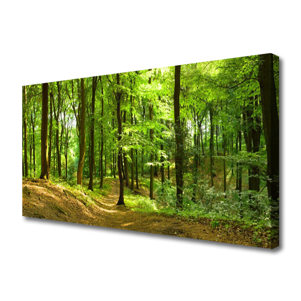 

Obraz na Płótnie Las Ścieżka Natura Foto 120x60