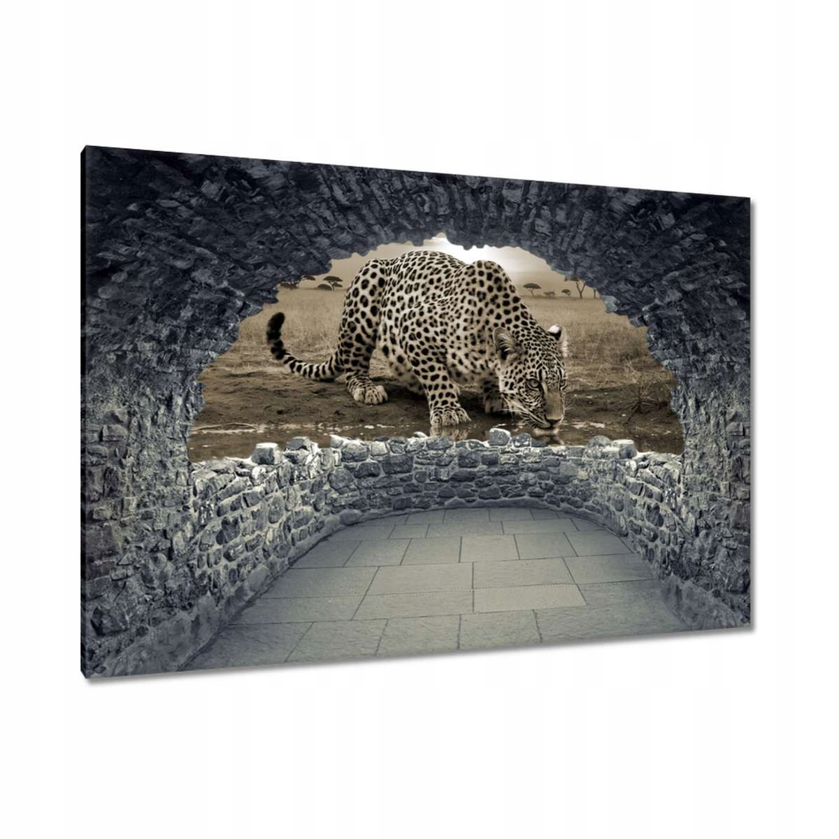 Obrazy 90x60 Gepard Tygr Zvířata Obývací Pokoj