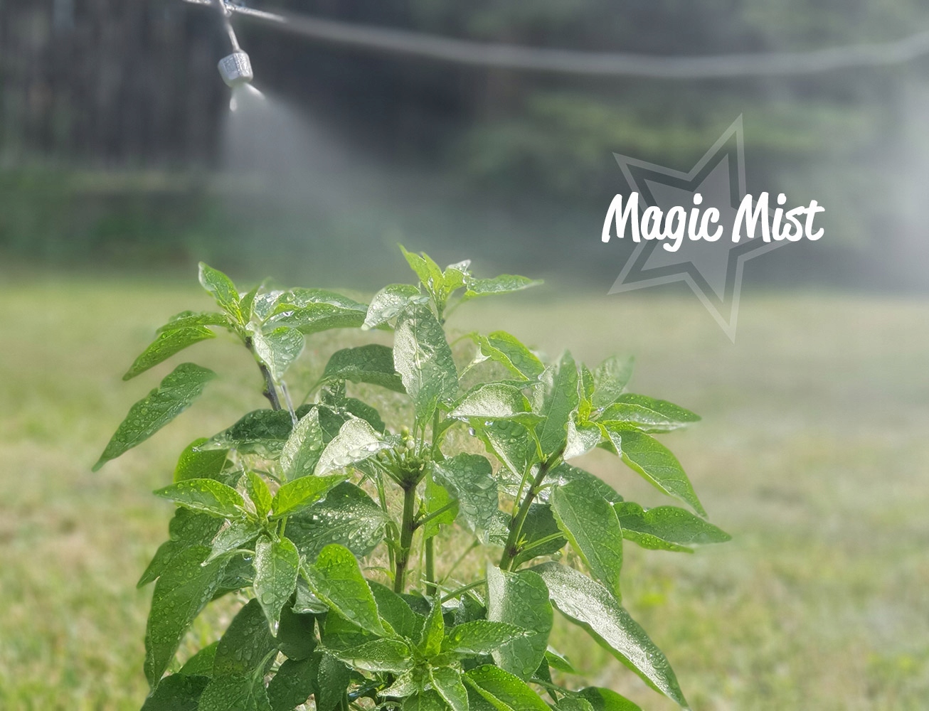 KURTYNA WODNA MGIEŁKA ZRASZACZ 10m 10 DYSZ EAN (GTIN) 5999566951121