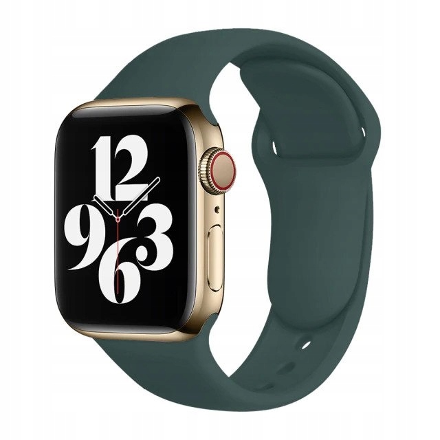 

Pasek Do Apple Watch 1 2 3 4 5 6 38/40