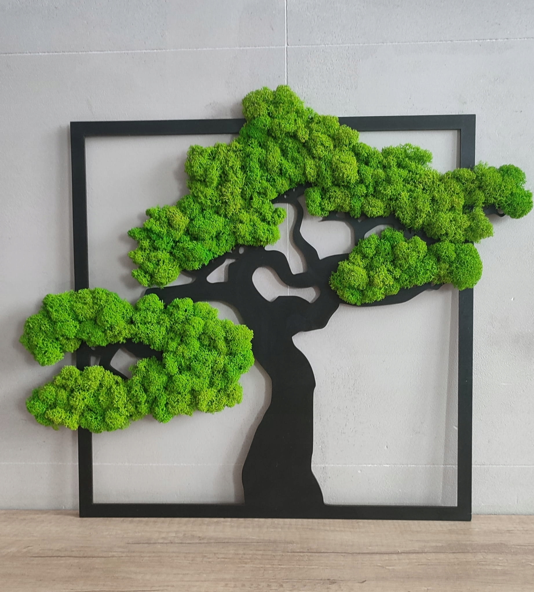 

Drzewko Bonsai z mchem chrobotkiem w kwadratowej r