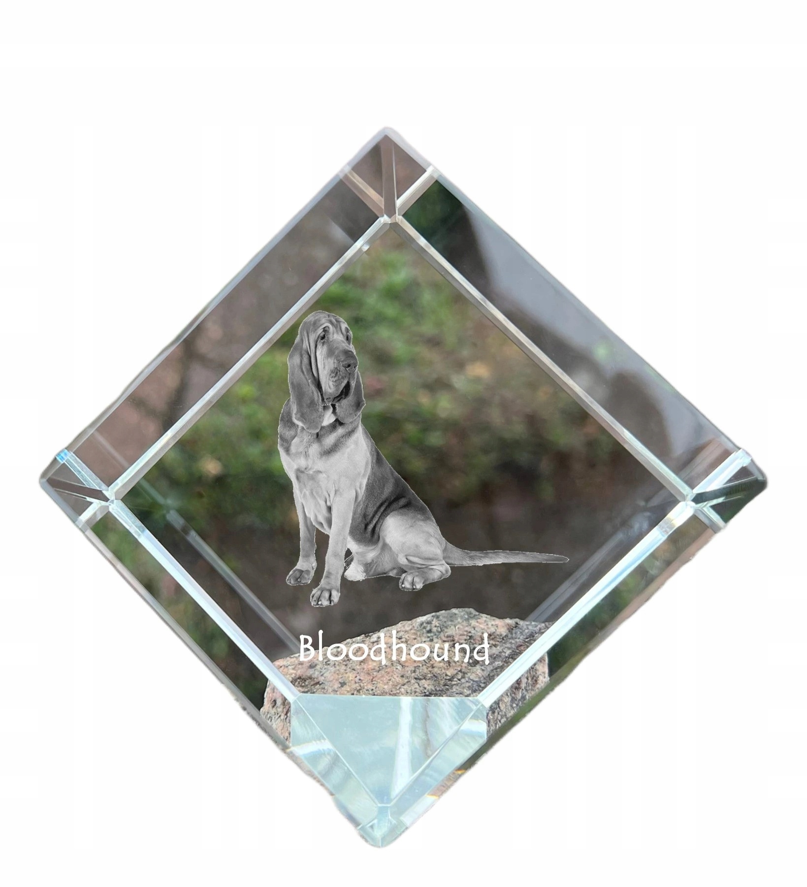 Bloodhound krištáľová kocka s fotografiou psa, ozdoba na stôl, tlačidlo