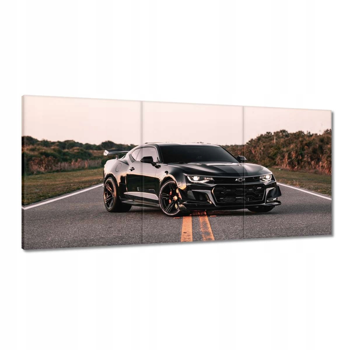 Obrazy 210x100 Auto Fura Sport