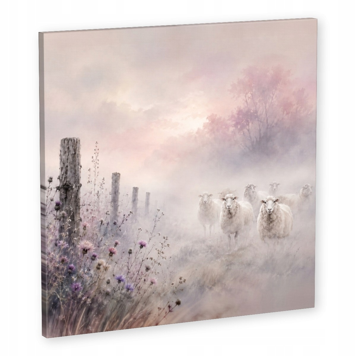 Obraz Na Plátně Canvas Louka Pole Květiny Bodlák Ovce Mlha Večer 50x50