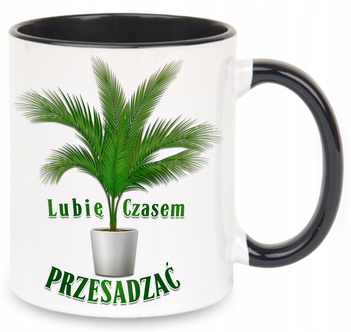 

Kubek Czasem Przesadzam Roślina Rośliny Kwiat