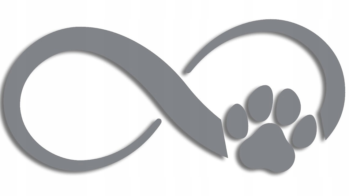 

Naklejka nieskończoność pies kot szara