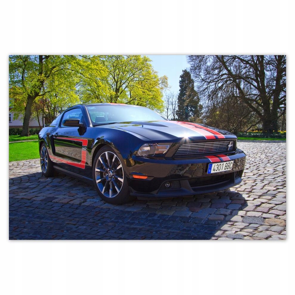 

Plakaty 60x40 Ford Mustang Samochód