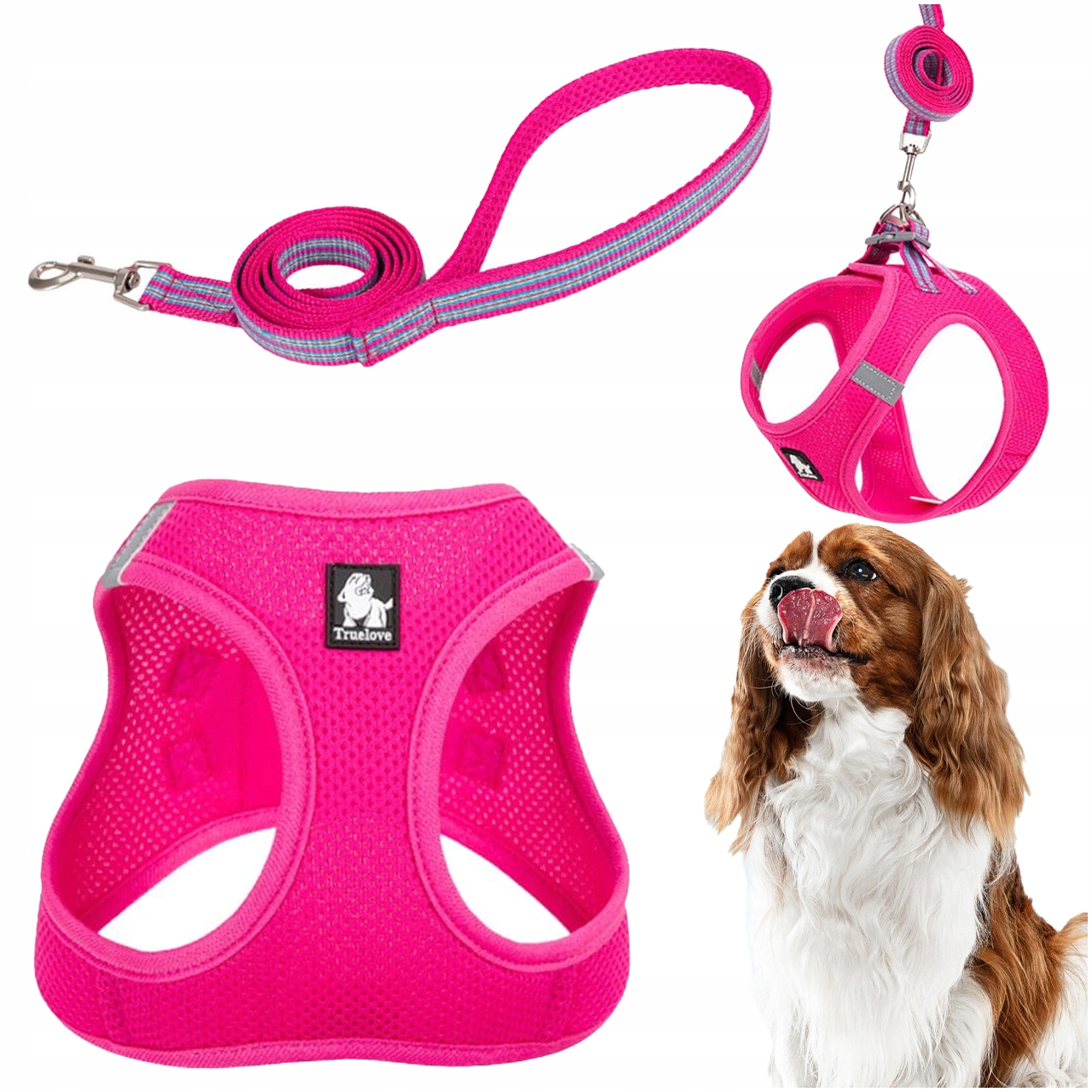 Levně Postroj Vodítko Pro Malého Psa Nebo Kočku Truelove Mini Růžové Xs Sada
