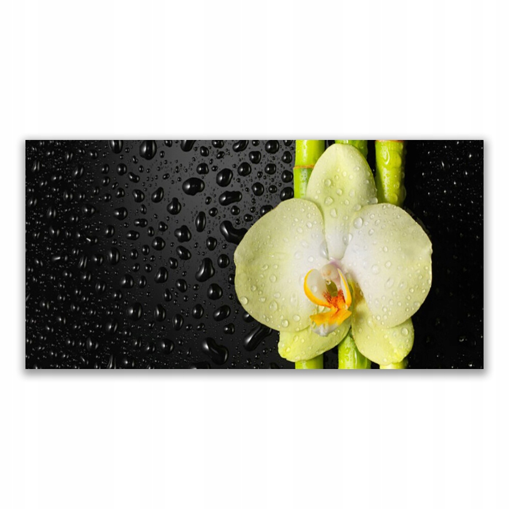 

Obraz akryl wiszący 120x60 Bambus Kwiaty Orchidea