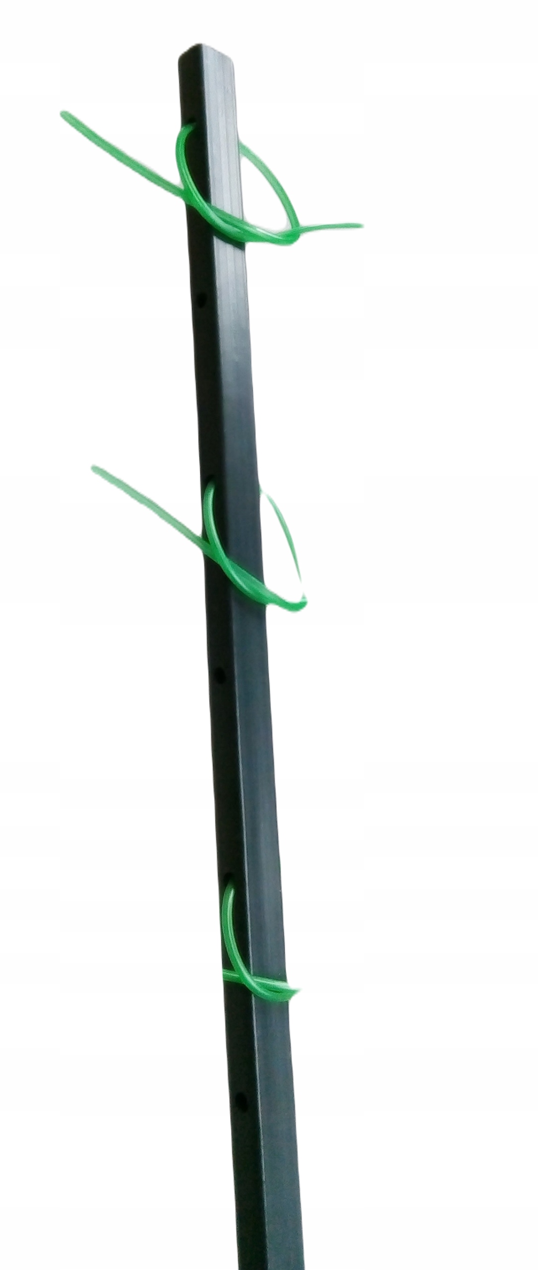 Palik tyczka podpora pomidor rośliny 110 cm