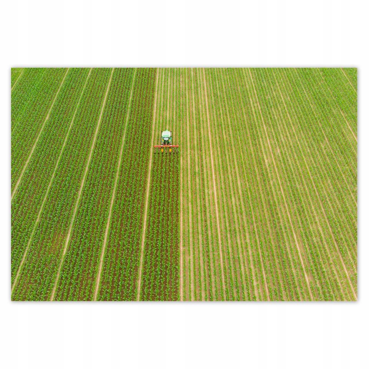 Plakáty 200x135 Zemědělství, zemědělské pole