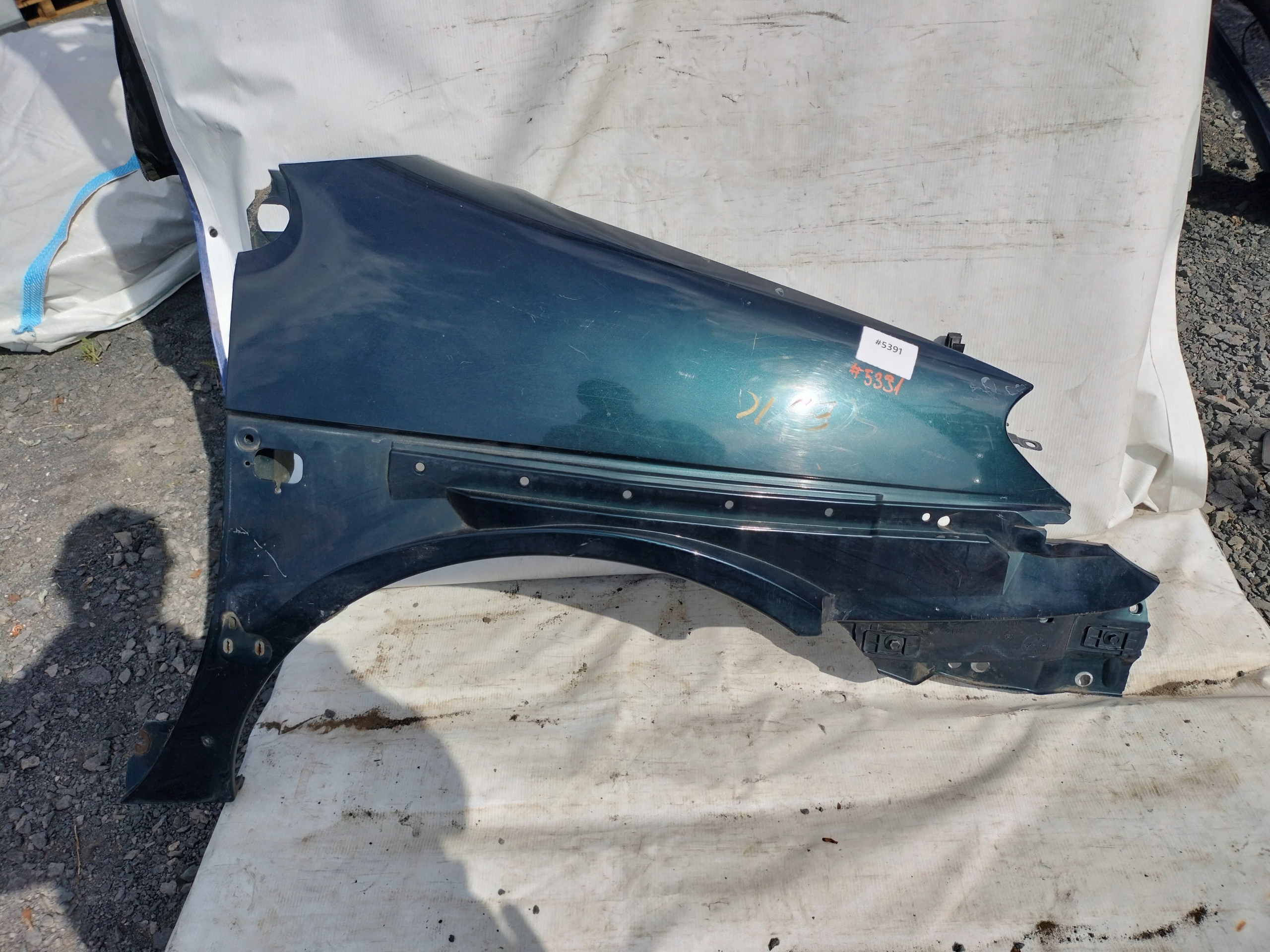 RENAULT SCENIC e RX4 parafango Destra verde