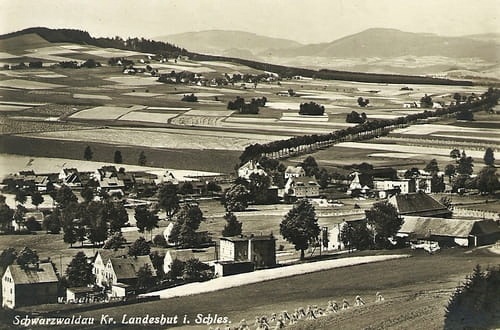 

Czarny Bór panorama Reprodukcja 26039