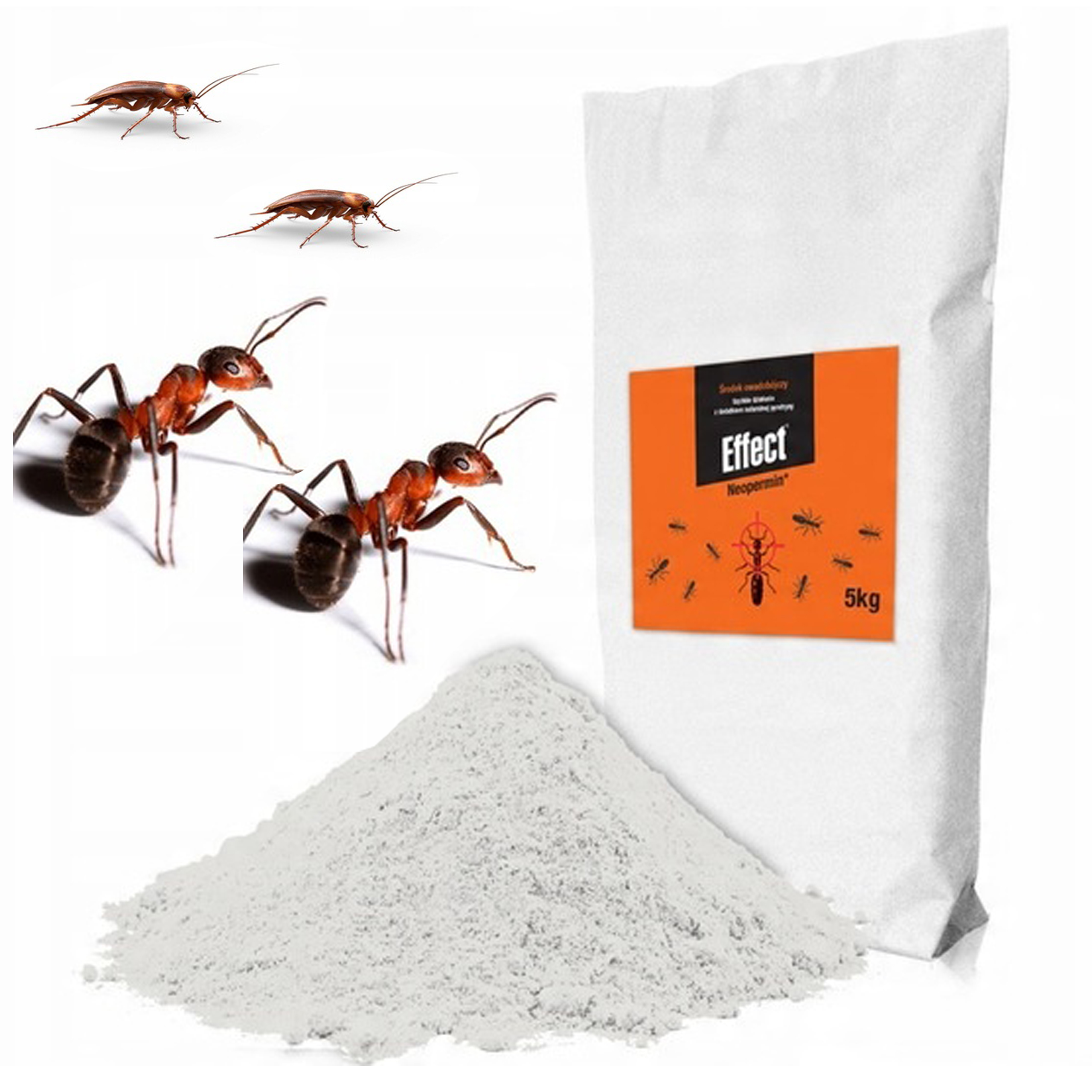 Środek Proszek Na Mrówki Gniazda Mrówek Pluskwy Karaluchy Rybiki Effect 5KG