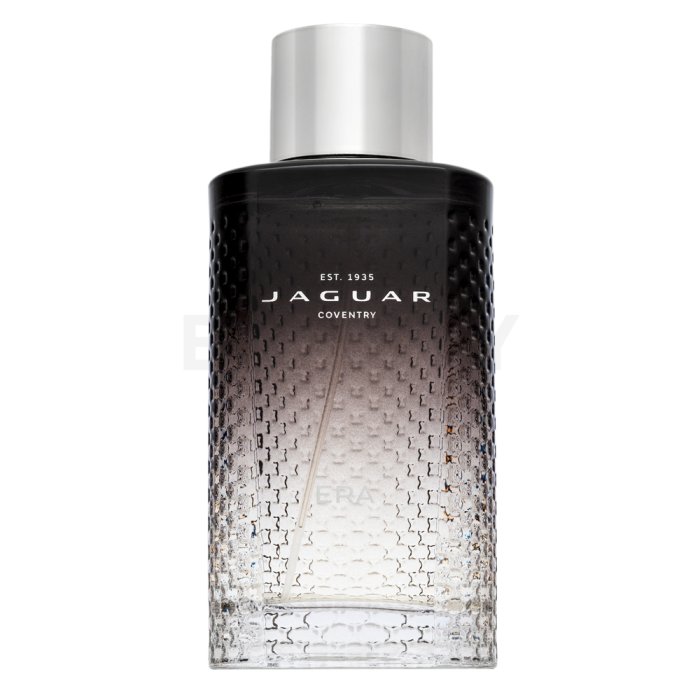Jaguar Era Edt M 100 ml
