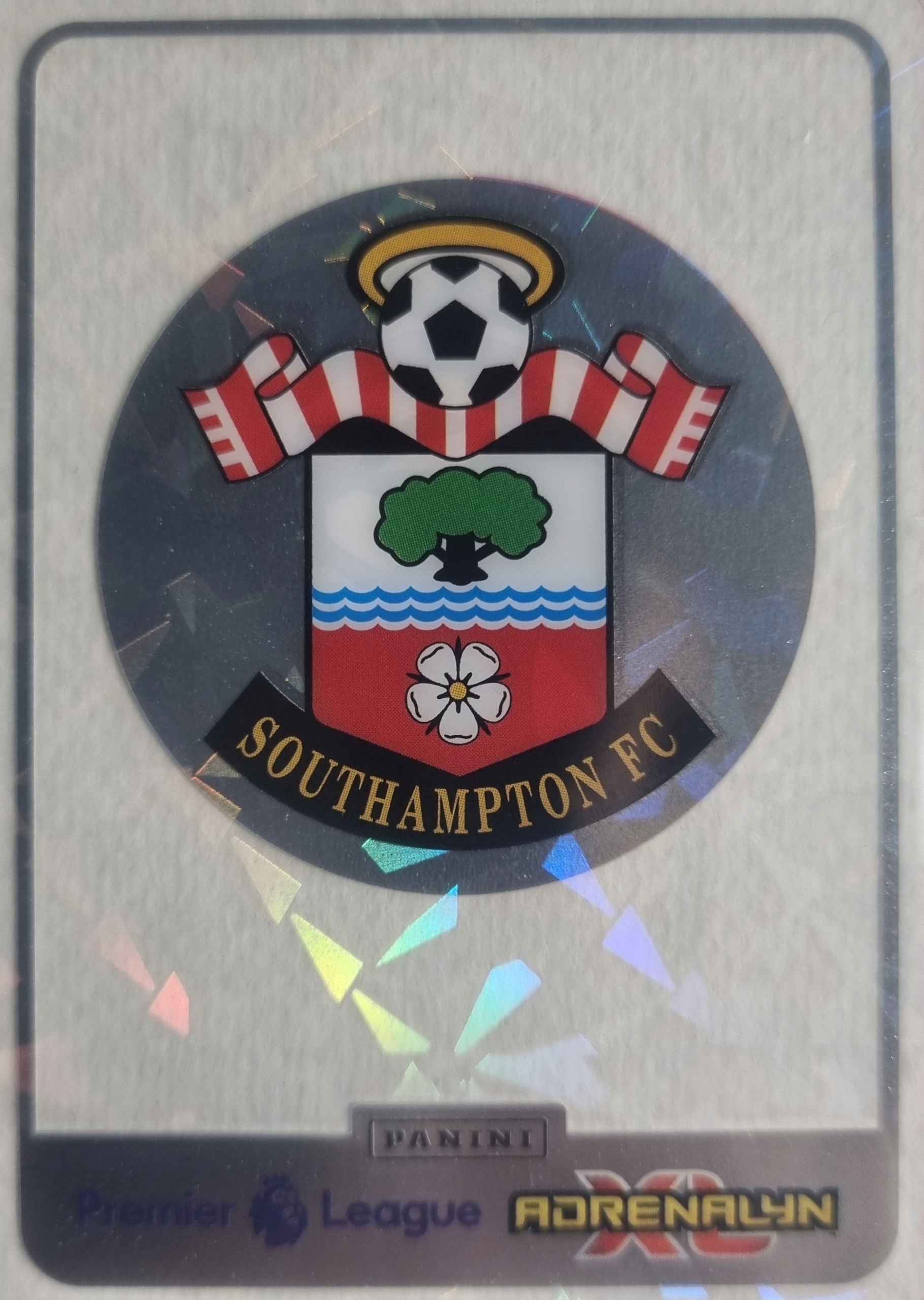 Premier League 2025 Crystal Crest Logo Southampton Fc
