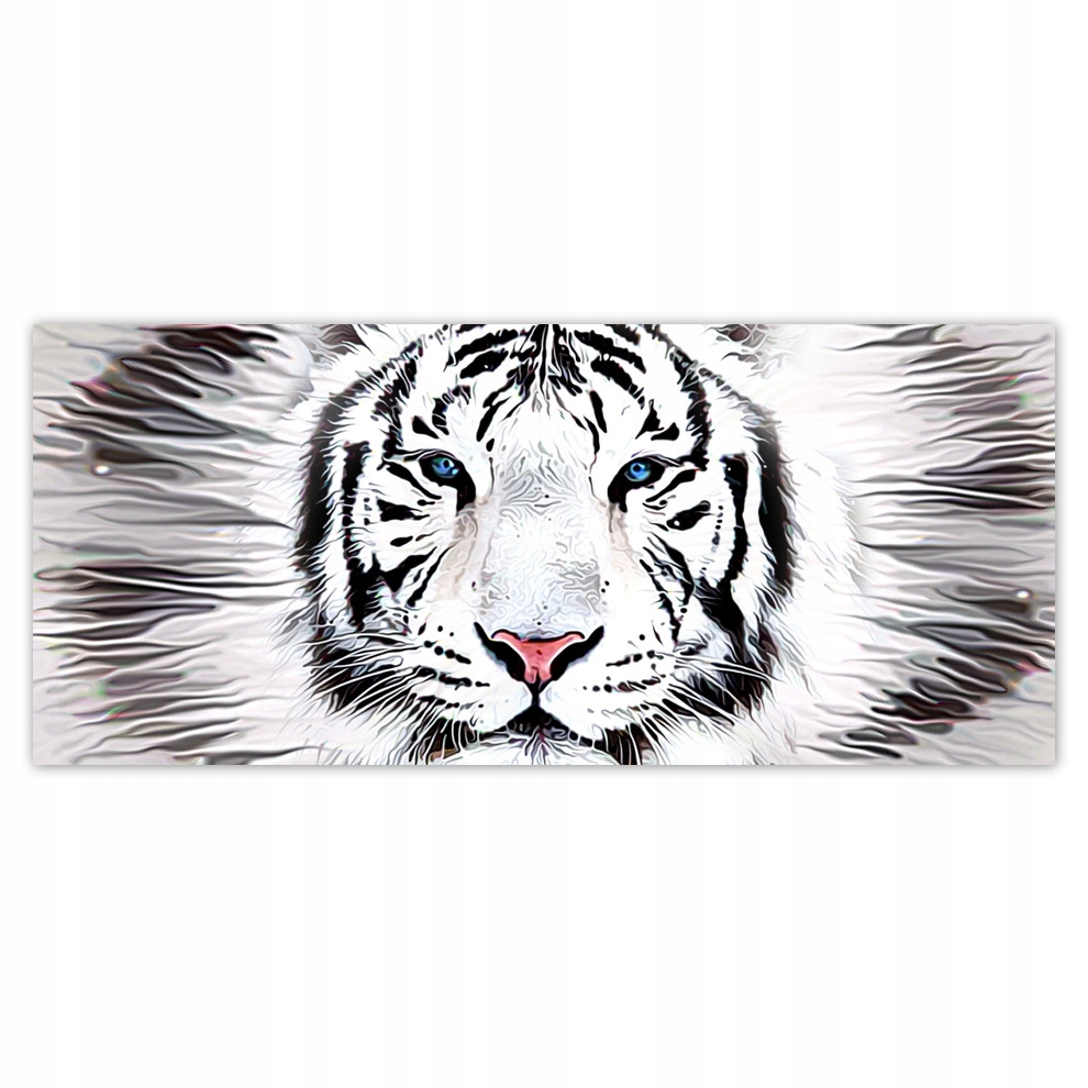 Fototapety flizelina 211x91 Bílý tygr Tiger