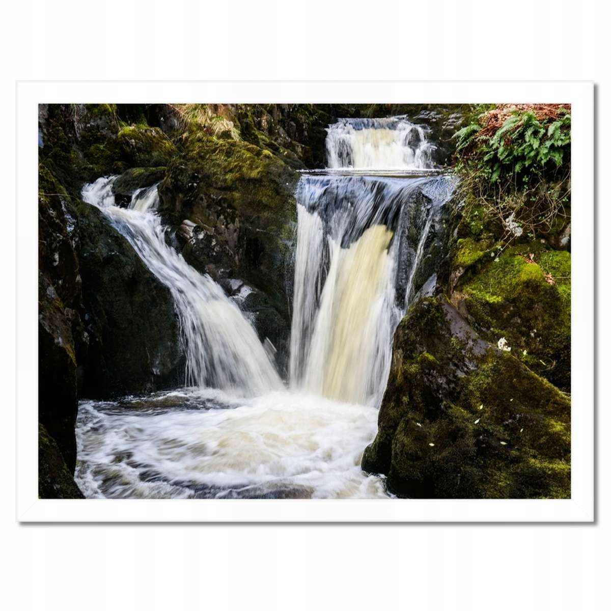 Plakáty v rámu 40x30 Kaskáda Horský vodopád mezi rostlinami