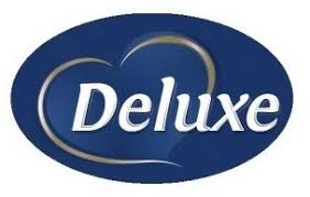 Płyn Deluxe 750ml czyszczenie piekarników i płyt Postać płyn