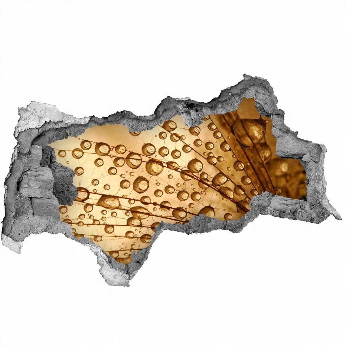 

Samoprzylepna Naklejka Nasiona dmuchawca 95x73