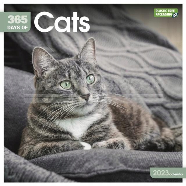Cats 365 Days Square Wall Calendar 2023 Carousel 56,65 zł Allegro