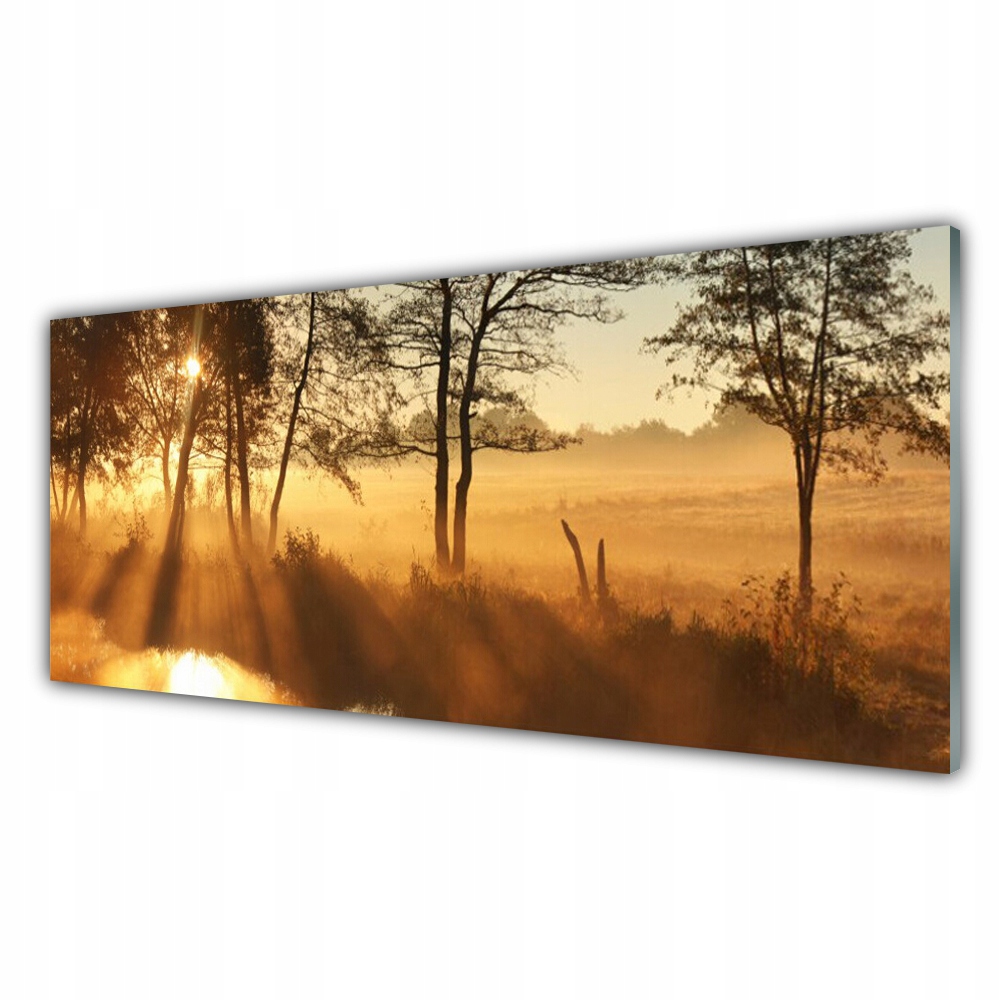 

Obraz akryl na ścianę ścienny 125x50 Drzewa Natura