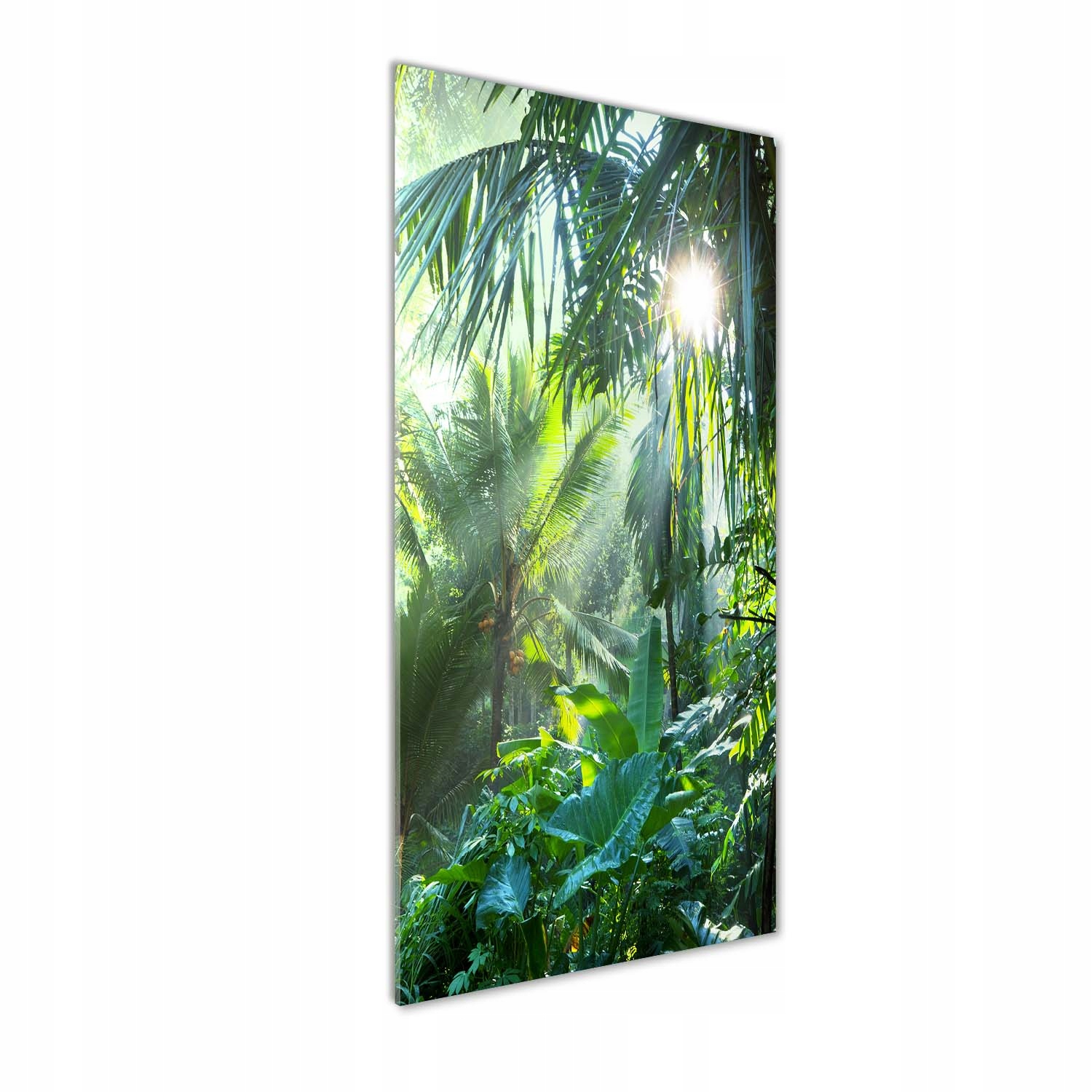 

Foto obraz akrylowy na ścianę Dżungla 50x125 cm