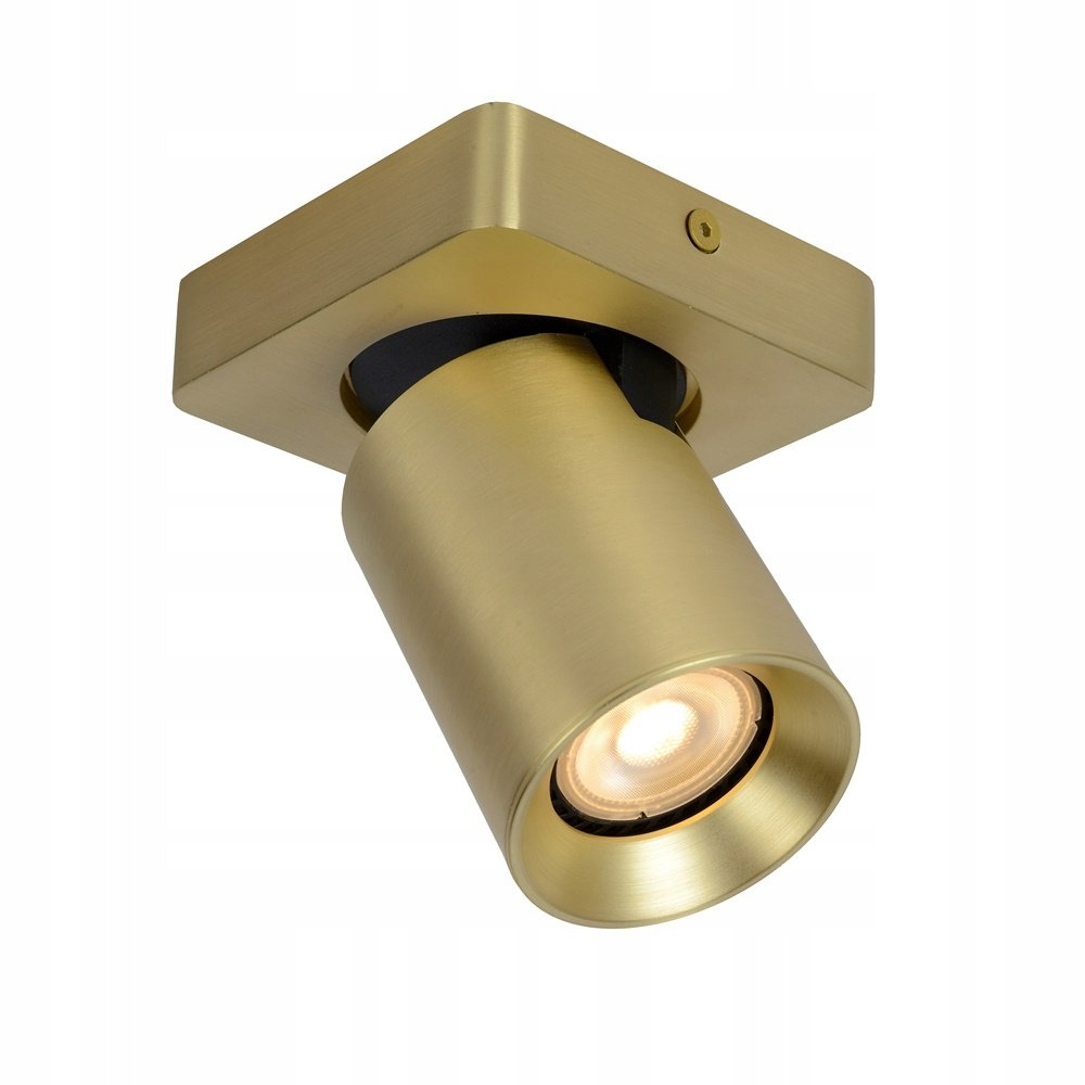 Lampa reflektor spot Nigel 09929/05/02 Lucide