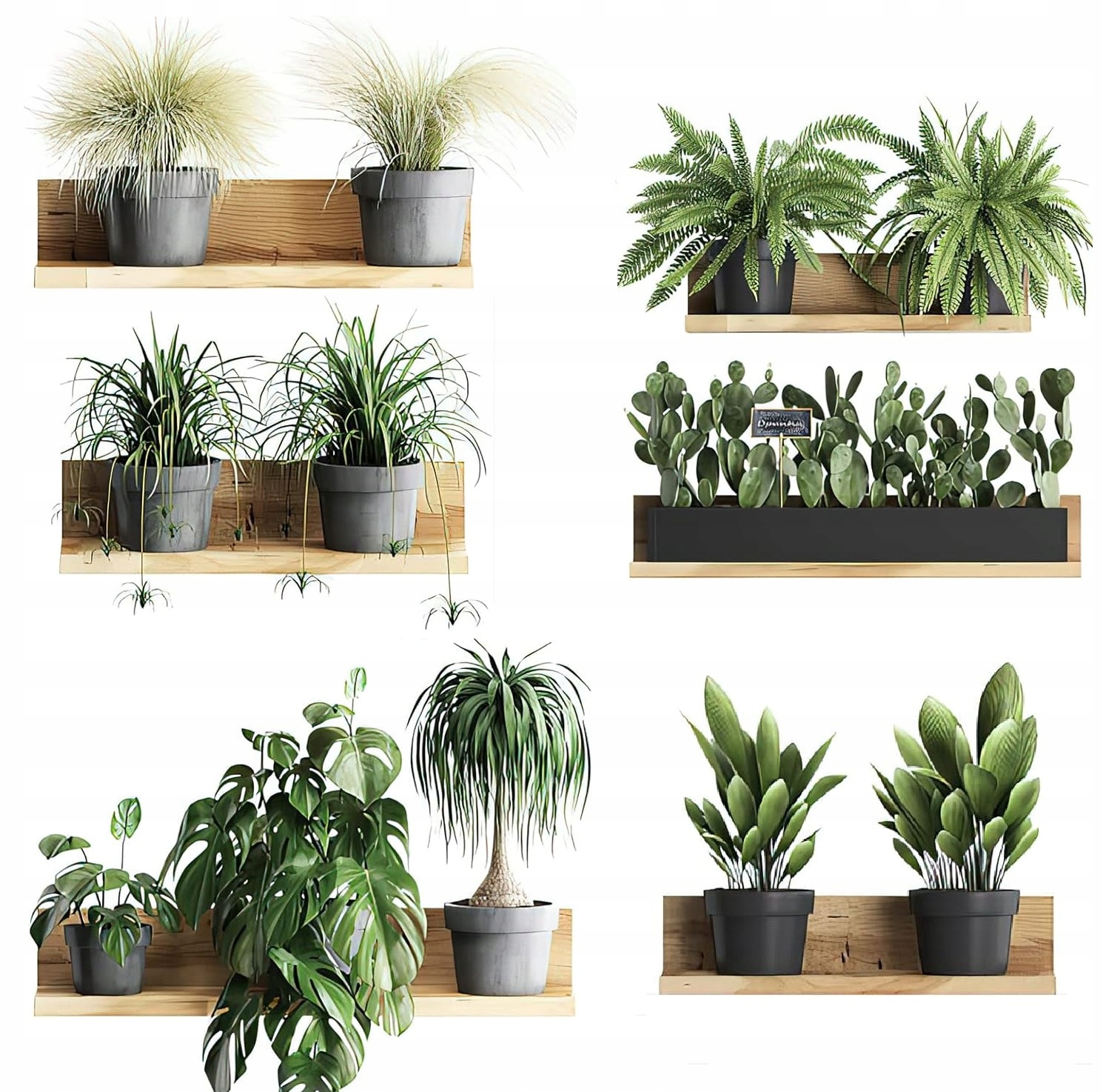 6X DUŻE TATUAŻE ŚCIENNE 3D NAKLEJKA SZTUCZNE ROŚLINY KWIATKI PÓŁKA OZDOBNA