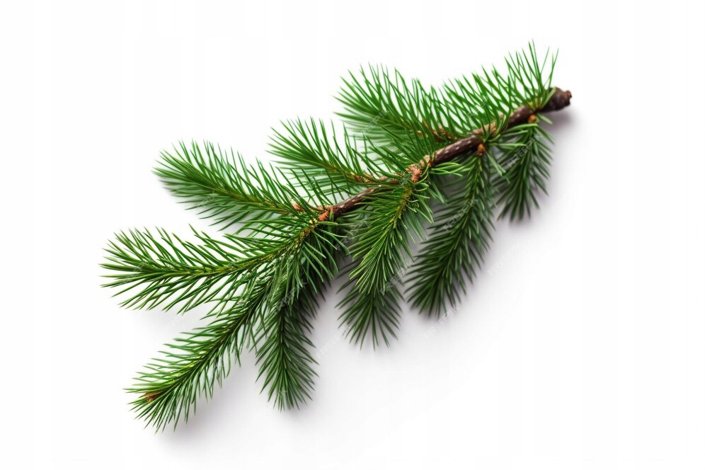 ŻWIREK DREWNIANY PELLET DLA KOTA KRÓLIKA ŚWINKI 15KG JASNY Marka GESIO