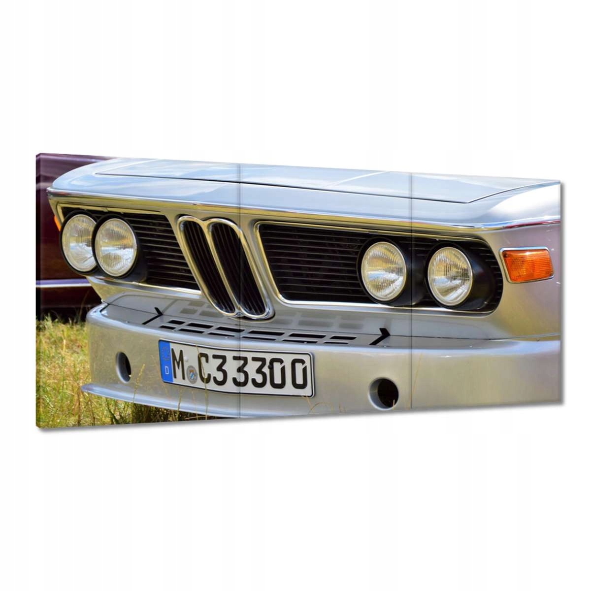 Obrazy 180x90 Bmw Skutočný žralok