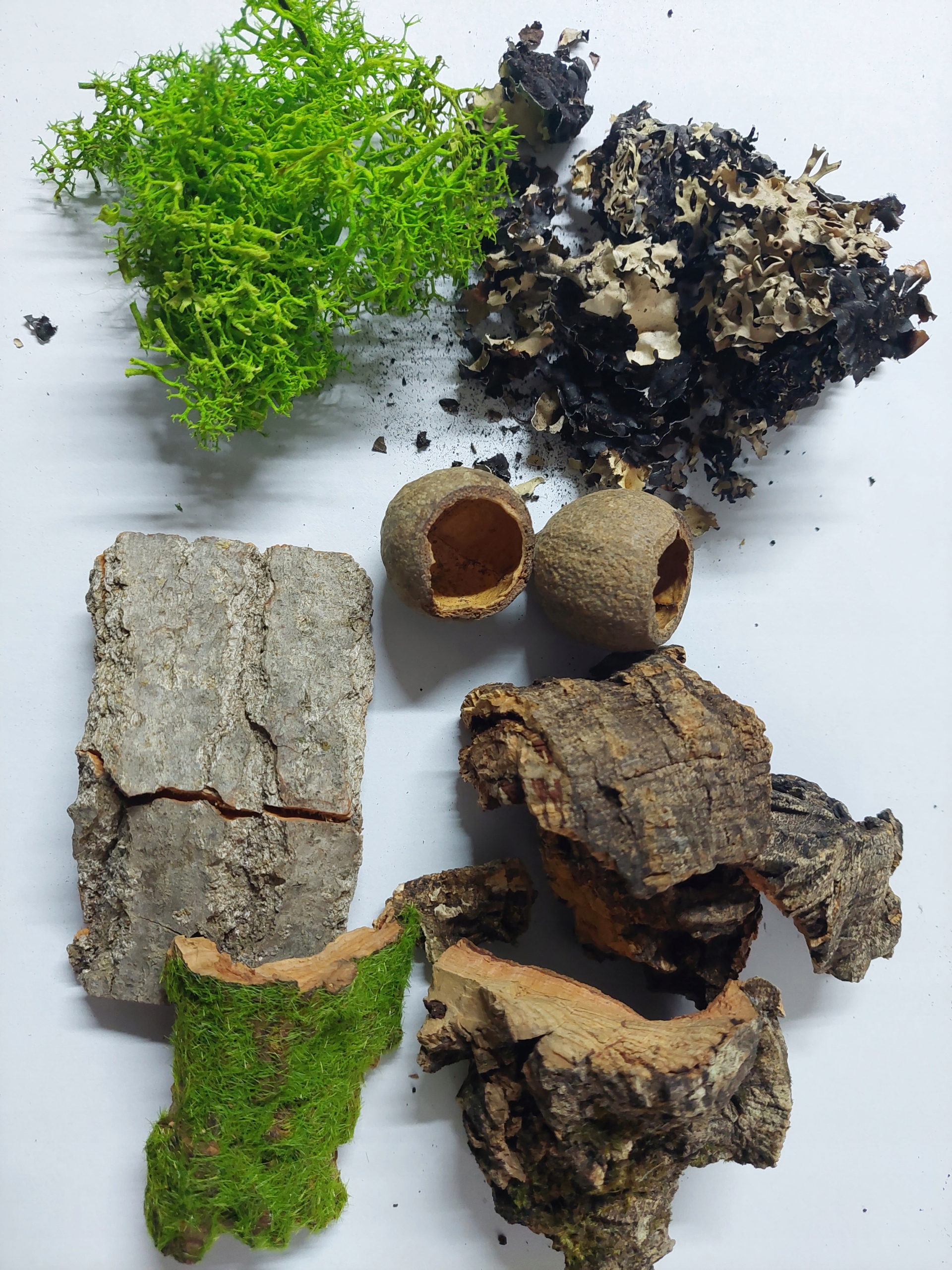 

Zestaw terrarystyczny mini pakiet dla zwierzaka