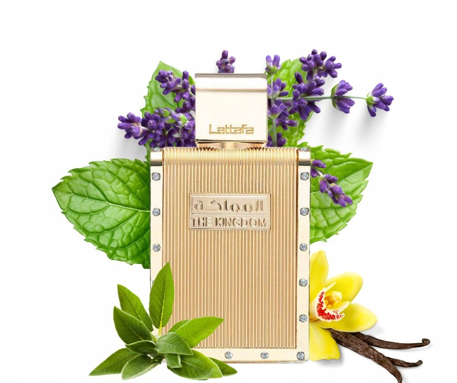 Arabské parfémy pánské, příjemné, Lattafa The Kingdom Men Edp 100 ml