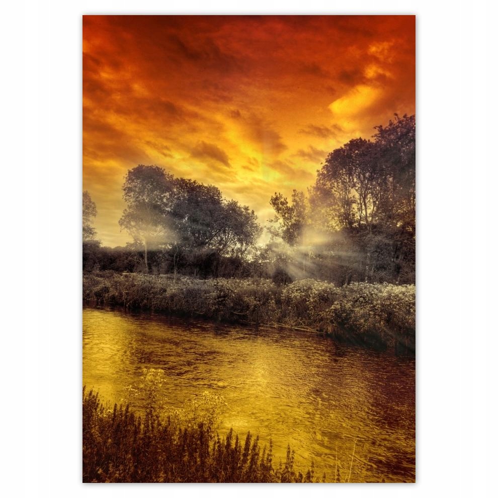 

Naklejki 50x70 Miodowy pejzaż