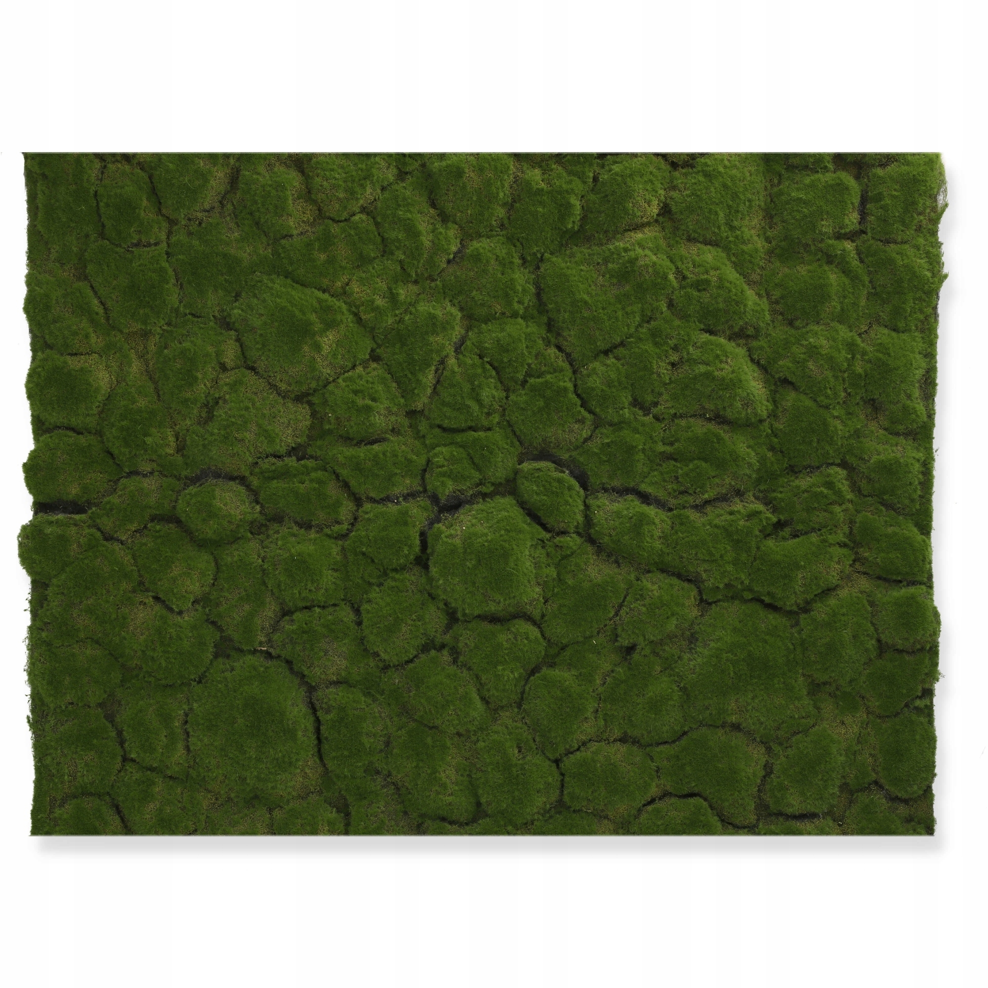 Sztuczna zielona ściana mata panel Mech 100x100cm