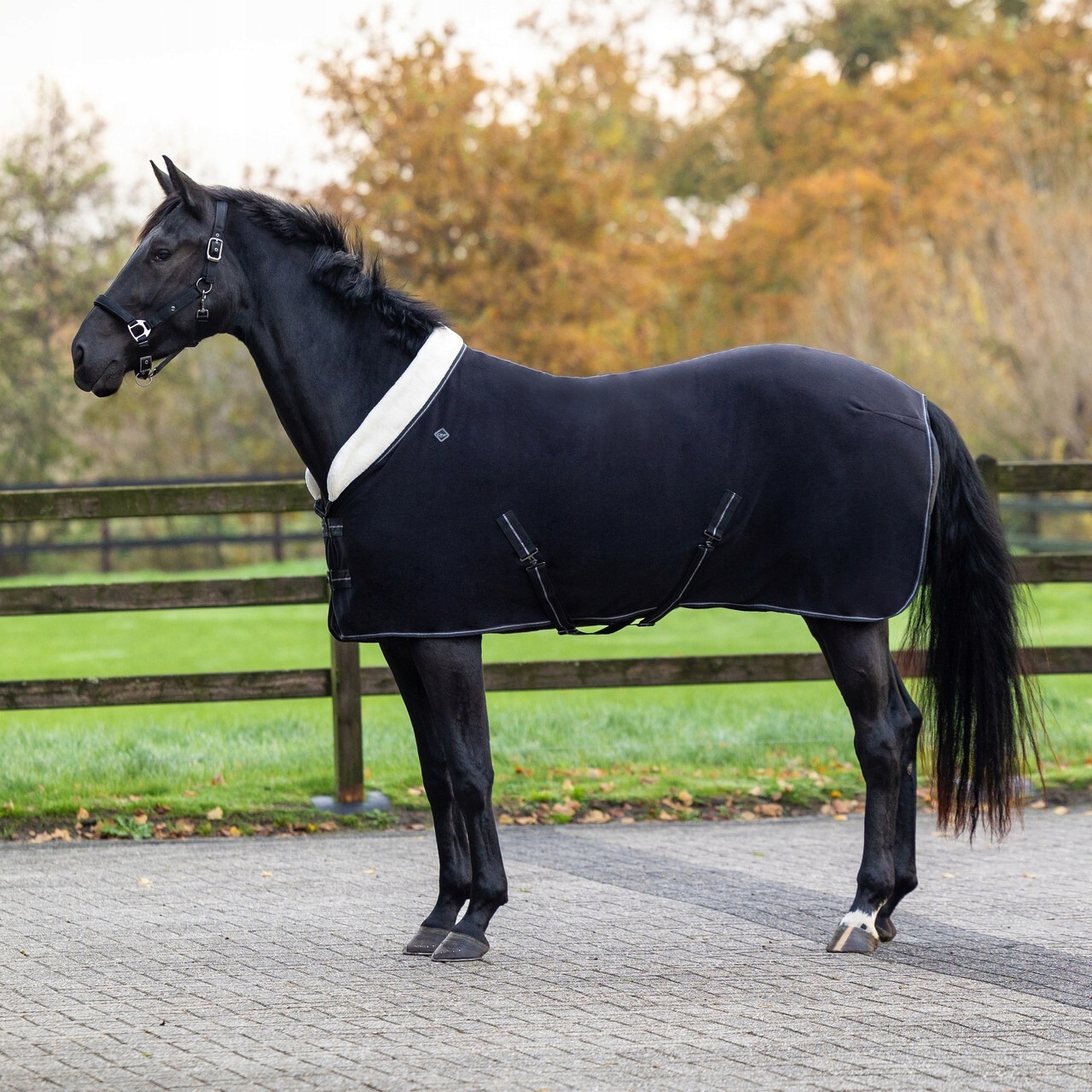 Qhp, Derka polarowa Shine, Black 135