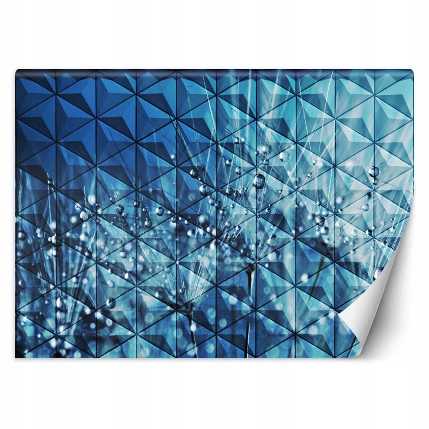 Fototapeta Kapky rosy pampeliška geometrie 400x280