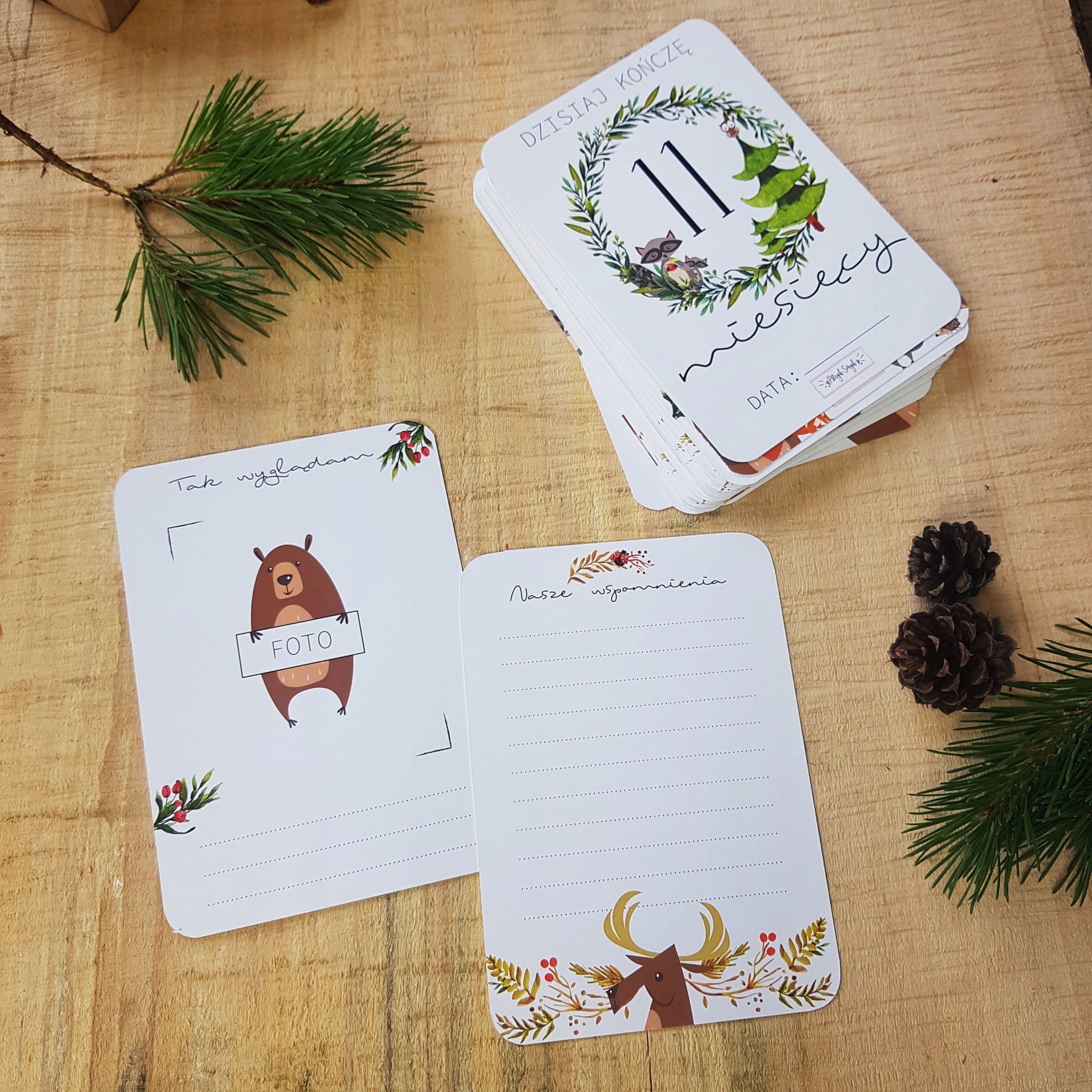 FOTO KARTY do zdjęć dla dziecka 37 szt. dwustronne Marka Pstryk Smyk